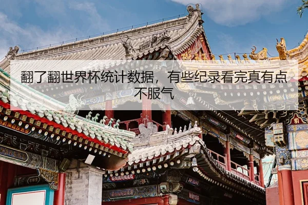 fan-le-fan-shi-jie-bei-tong-ji-shu-ju-you-xie-ji-lu-kan-wan-zhen-you-dian-bu-fu-qi-2-949.jpg
