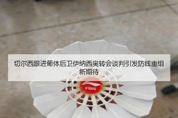 切尔西跟进葡体后卫伊纳西奥转会谈判引发防线重组新期待（leyu）