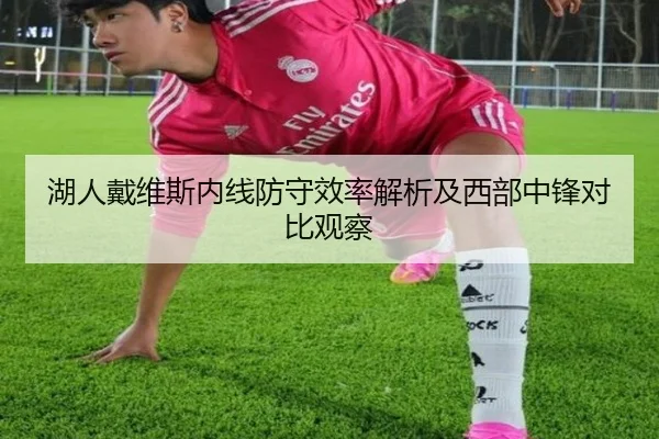 湖人戴维斯内线防守效率解析及西部中锋对比观察（leyu）