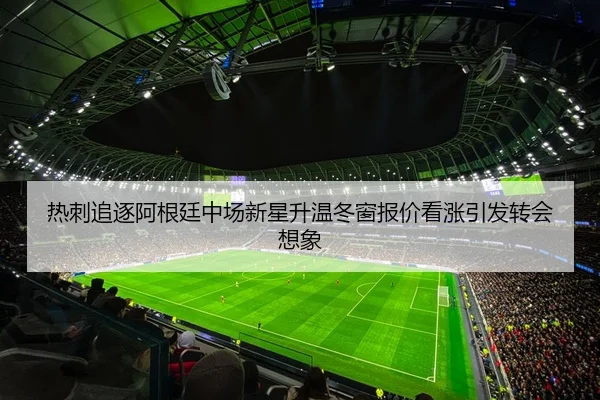 热刺追逐阿根廷中场新星升温冬窗报价看涨引发转会想象（leyu）